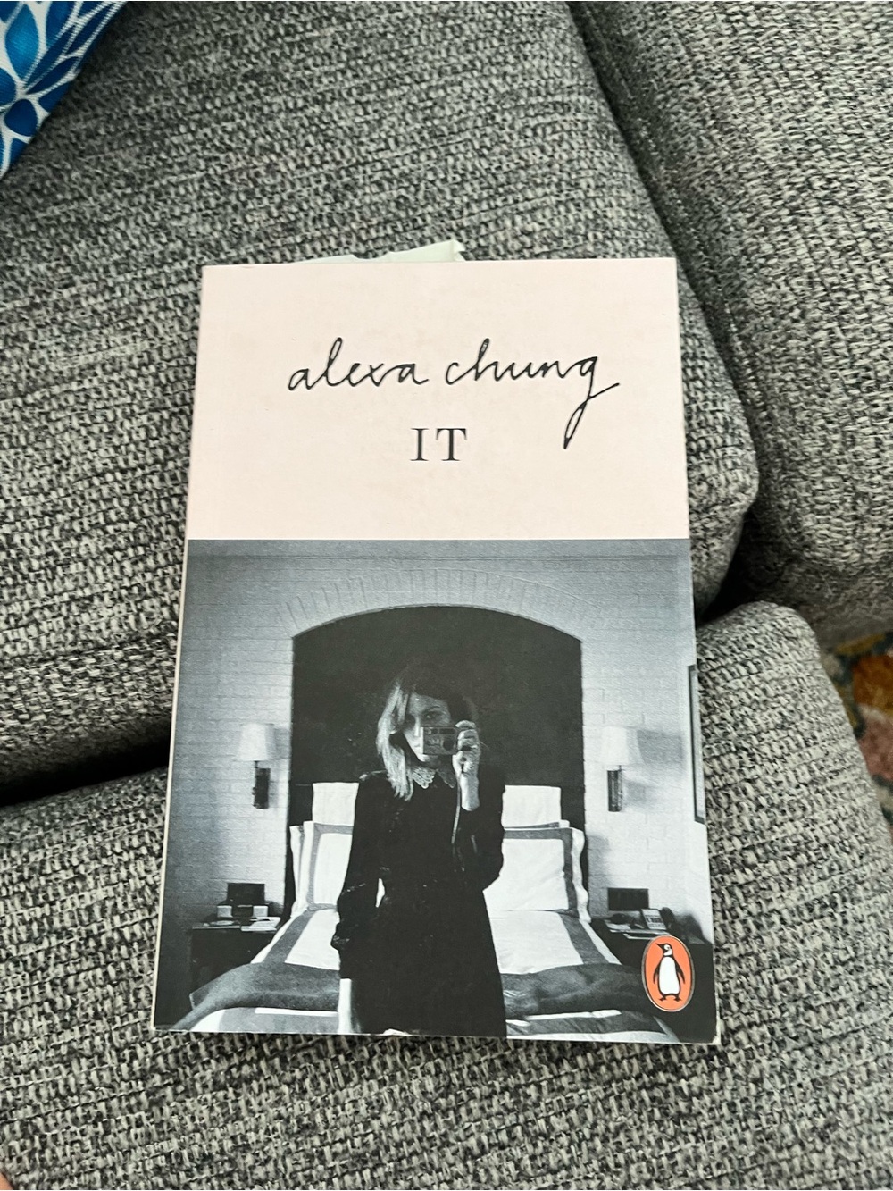 Alexa Chung IT Paperback Book - Pink & Black Cover